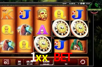 Interface Premium 1xx bet